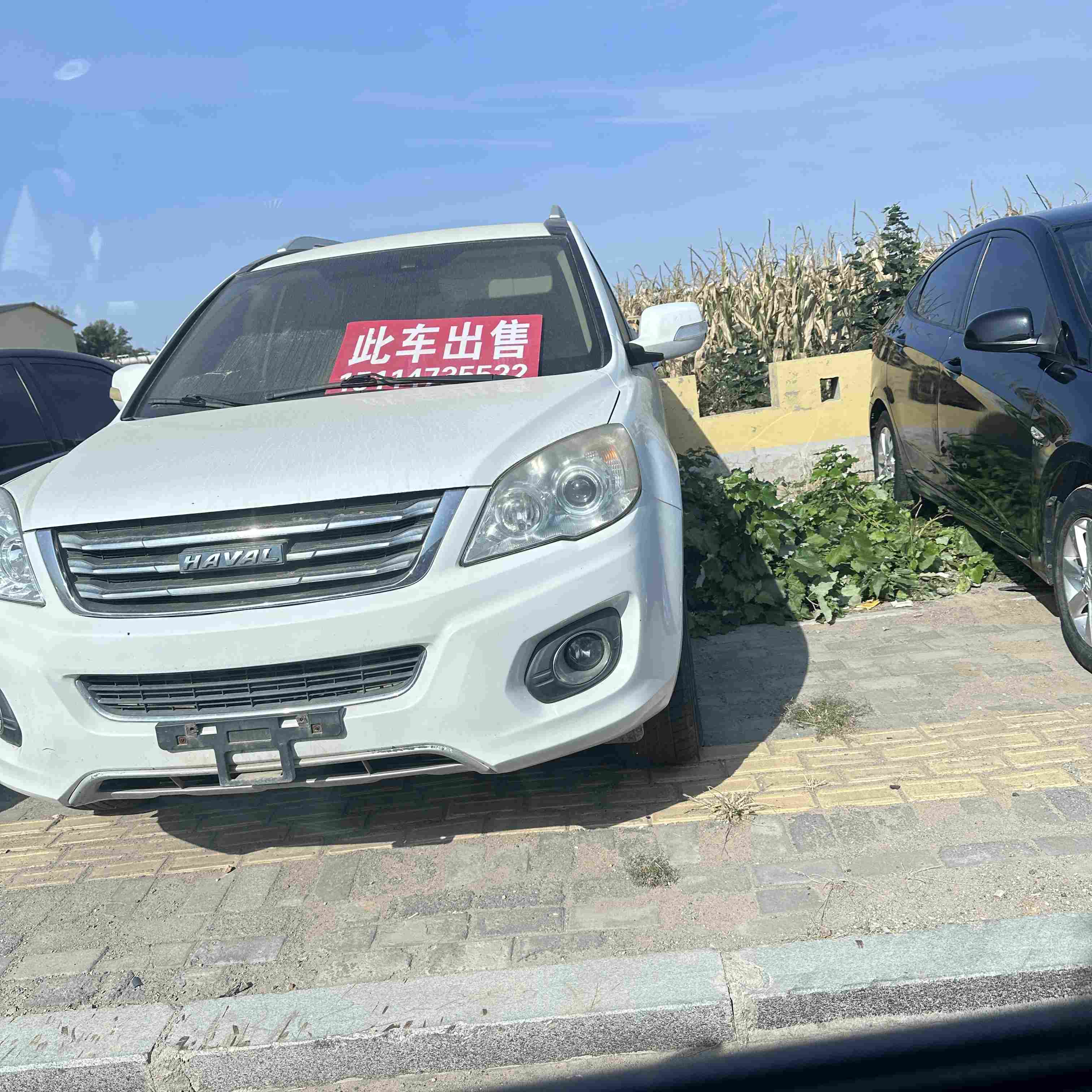 广告图片